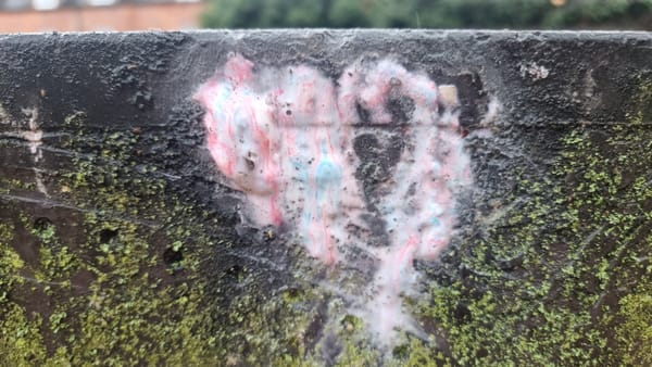 Headstone cleaning: Pallett and Barker